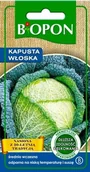 Nasiona i cebule - Biopon nasiona kapusta wloska 1 g karbowane liście-Biopon - miniaturka - grafika 1