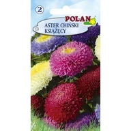 Nasiona i cebule - Aster Chiński Książęcy - Mieszanka Polan - miniaturka - grafika 1