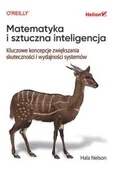 Książki medyczne - Matematyka i sztuczna inteligencja. Kluczowe koncepcje zwiększania skuteczności i wydajności systemów - miniaturka - grafika 1