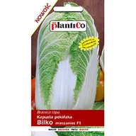 Nasiona i cebule - Nasiona Kapusta Pekińska Bilko - Mieszaniec 0,15 Gram Plantico - miniaturka - grafika 1