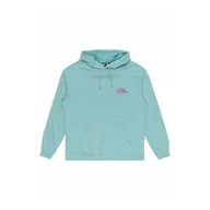 Bluzy męskie - Bluza męska Apog Heritage Quiksilver - miniaturka - grafika 1