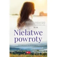 Powieści - Niełatwe powroty Pensjonat na wzgórzu Tom 1 | - miniaturka - grafika 1