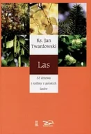 Poezja - Las - miniaturka - grafika 1