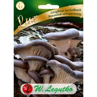 Nasiona i cebule - Grzybnia Boczniak ostrygowaty 20szt. W. Legutko - miniaturka - grafika 1