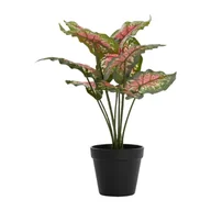 Sztuczne kwiaty - Sztuczna roślina (wysokość 40 cm) Caladium – Light & Living - miniaturka - grafika 1