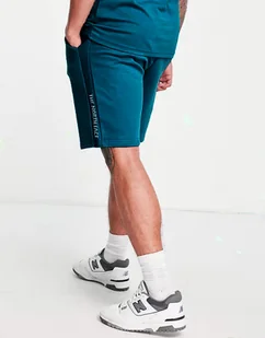SPODENKI MĘSKIE THE NORTH FACE BAWEŁNA DRESOWE SZORTY NIEBIESKIE ROZMIAR XL - Spodenki męskie - miniaturka - grafika 1