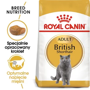 Royal Canin British Shorthair 10 kg - Sucha karma dla kotów - miniaturka - grafika 1