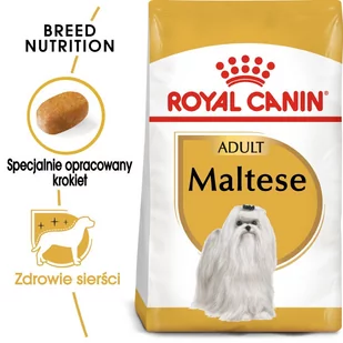 Royal Canin Maltese Adult 0,5 kg - Sucha karma dla psów - miniaturka - grafika 1