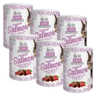 Przysmaki dla kotów - Przysmak dla kota BRIT CARE Snack Superfruits Salmon 6 x 100 g - miniaturka - grafika 1