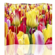 Parawany - Parawan pokojowy FEEBY, Kolorowe tulipany 2, Obrotowy 180x170cm 5-częściowy - miniaturka - grafika 1