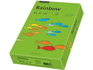 Papyrus 88042681 papier wielofunkcyjny Rainbow 160 G/M, A4 250 arkuszy intensivgruen 88042681 - Papier do drukarek - miniaturka - grafika 1