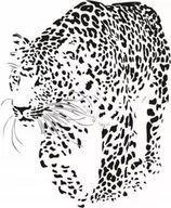 Naklejki na ścianę - Naklejka na ścianę leopard - Dzikie koty 17, 58x48 cm - miniaturka - grafika 1