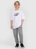 Spodnie i spodenki dla chłopców - 4F Spodnie dresowe joggery chłopięce - szare 122 (6-7 lat) - miniaturka - grafika 1