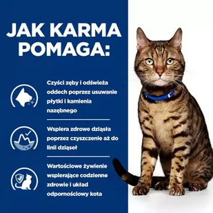 HILL'S PD Prescription Diet Feline t/d 3kg - Sucha karma dla kotów - miniaturka - grafika 4