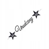 Dekoracje sali - GIRLANDA BANER URODZINOWA 20 LAT CZARNA GWIAZDKI DEKORACJA NAPIS URODZINY - miniaturka - grafika 1