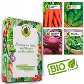 Nasiona i cebule - NASIONA WARZYW ZESTAW PNOS BURAK RUKOLA MARCHEW OGOREK 4X SZASZETKI - miniaturka - grafika 1