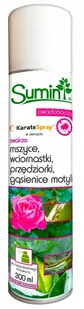 Sumin Karate Spray Aerozol 300 Ml - Preparaty na chwasty i szkodniki - miniaturka - grafika 1