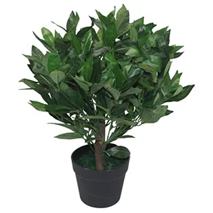 Leaf Design UK sztuczne laurowe drzewo z laurowy, zielone, 50 cm - Sztuczne drzewka - miniaturka - grafika 1