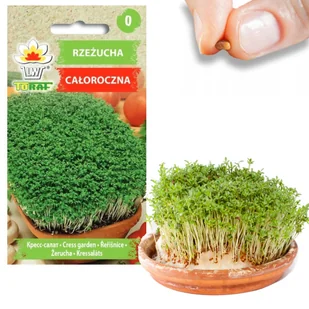 Rzeżucha Lepidium sativum - Nasiona i cebule - miniaturka - grafika 1