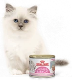 Mokra karma dla kotów - Royal Canin bytówka Babycat Instinctive Feline - 12 x 195g puszka - miniaturka - grafika 1