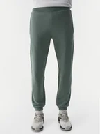 Spodnie sportowe męskie - 4F Spodnie dresowe 4FWSS24TTROM645 Zielony Regular Fit - miniaturka - grafika 1