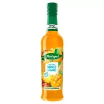 Herbapol Syrop o smaku mango i ananas 420 ml - Syropy i koncentraty owocowe - miniaturka - grafika 1