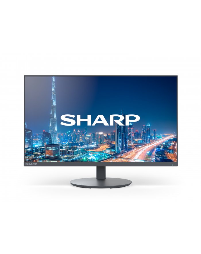 Sharp MultiSync DD-E244FL 24
