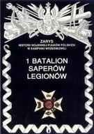 Historia świata - 1 batalion saperów legionów - miniaturka - grafika 1