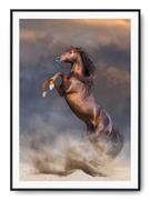 Plakaty - Plakat r A3 30x42 cm Zwierzęta Konie Koń Natura - miniaturka - grafika 1