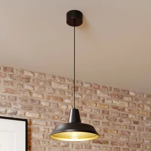 Luminex Lampa wisząca zwis żyrandol Class 1x60W E27 czarny/złoty 4032 - Lampy sufitowe - miniaturka - grafika 2
