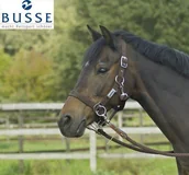 Kantary dla koni - BUSSE Kantar do jazdy RIDING - miniaturka - grafika 1