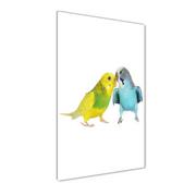 Foto gadżety - Foto obraz na szkle pionowy Papużki faliste - miniaturka - grafika 1