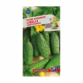 Nasiona i cebule - Ogórek konserwowy Libelle nasiona 5g / O / - miniaturka - grafika 1