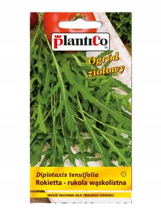 Plantico Rokietta siewna - Nasiona i cebule - miniaturka - grafika 1