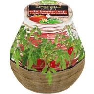 Świece - Świeca Bolsius Citronella With Tomato Leaf Patiolight Garden Liść Pomidora Na Komary - miniaturka - grafika 1