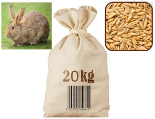 Owies paszowy 20kg Agro Bracia - Ziarna i nasiona roślin strączkowych - miniaturka - grafika 1