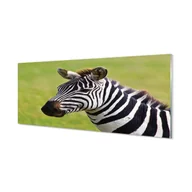 Tablice i flipcharty - Panel dekoracyjny szkło hartowane Zebra 125x50 cm - miniaturka - grafika 1