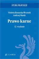 E-booki - prawo - Prawo karne - miniaturka - grafika 1