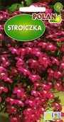 Nasiona i cebule - Stroiczka Rosamund Karminowa 0.3 g POLAN - miniaturka - grafika 1