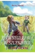 Fantasy - Pewnego razu w Szleszynie - miniaturka - grafika 1
