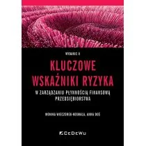 Kluczowe wskaźniki ryzyka w zarządzaniu płynnością - Ekonomia - miniaturka - grafika 1