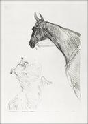 Plakaty - Galeria Plakatu, Plakat, Horse and Collie, Henri De Toulouse-Lautrec, 21x29,7 cm - miniaturka - grafika 1