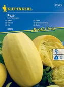 Nasiona i cebule - Dynia Pyza 8189 (St) - miniaturka - grafika 1