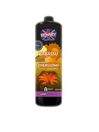 Szampony do włosów - Ronney Ronney BABASSU Oil Energizing Shampoo Szampon do włosów farbowanych i matowych 1000ml 43900-uniw - miniaturka - grafika 1