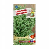 Nasiona i cebule - Tymianek właściwy 0,3g / O / - miniaturka - grafika 1