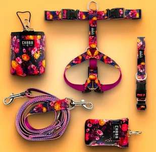 CHABA Szelki Guard Comfort Story bezuciskowe M 1,6cm marigold - Szelki dla psów - miniaturka - grafika 4