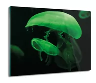 Deski do krojenia - szklana osłonka z nadrukiem Meduzy zielone 60x52, ArtprintCave - miniaturka - grafika 1