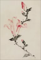 Plakaty - Galeria Plakatu, Plakat, Large Pink Blossom on a Stem with Three Additional Buds, Hokusai, 50x70 cm - miniaturka - grafika 1