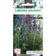 Nasiona i cebule - Lawenda lekarska W.Legutko - miniaturka - grafika 1