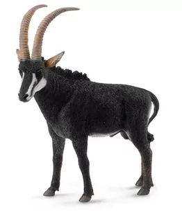 COLLECTA Antylopa Wielka Sable samiec L - Figurki dla dzieci - miniaturka - grafika 1